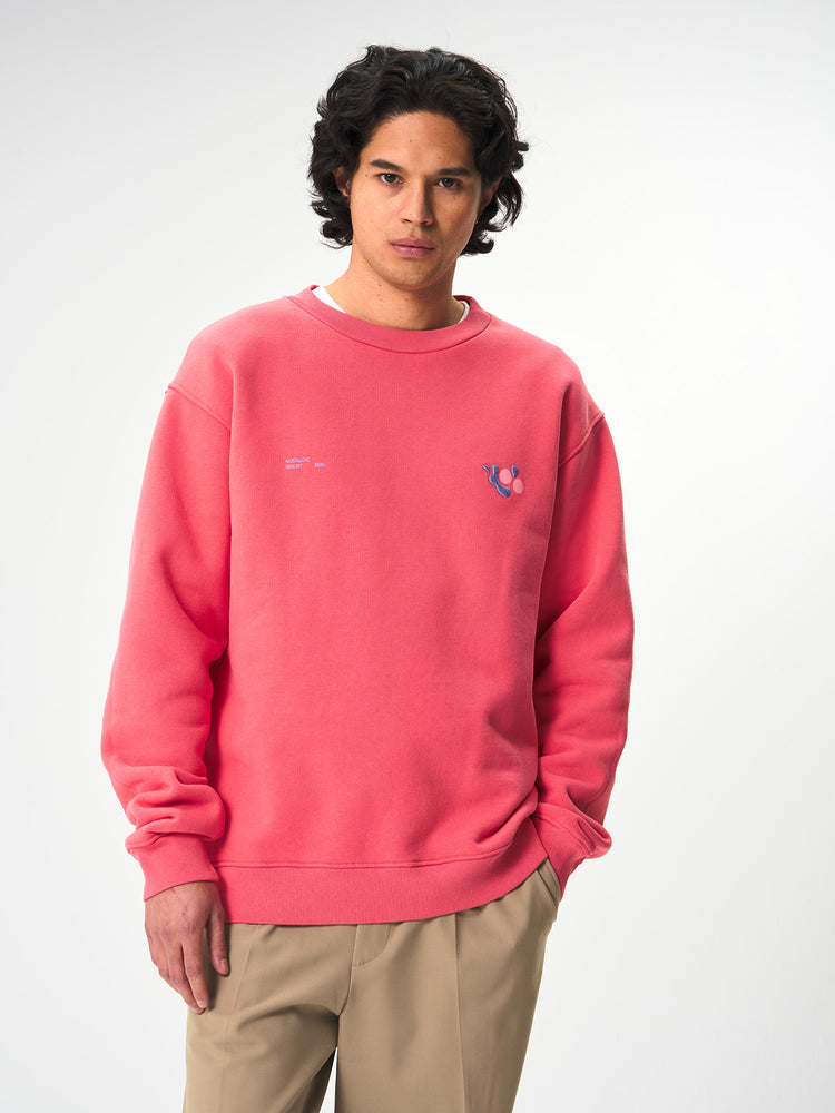 Pinqponq Sweatshirt Cotton - Watermelon Pink (Unisex)